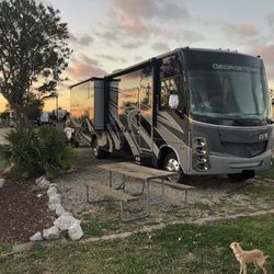 2022 Forest River Georgetown Gt5