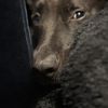 Ellie