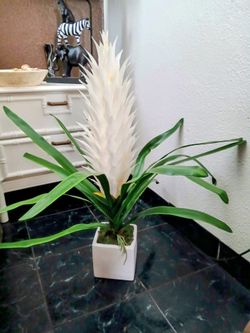 Super Unique Decorative Plant