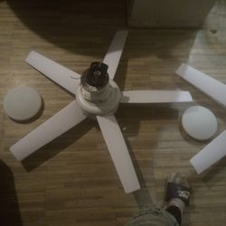 Windward  44 In L ED Indoor Matte White Ceiling Fan With Light Kit