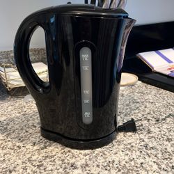 Electric Kettle 