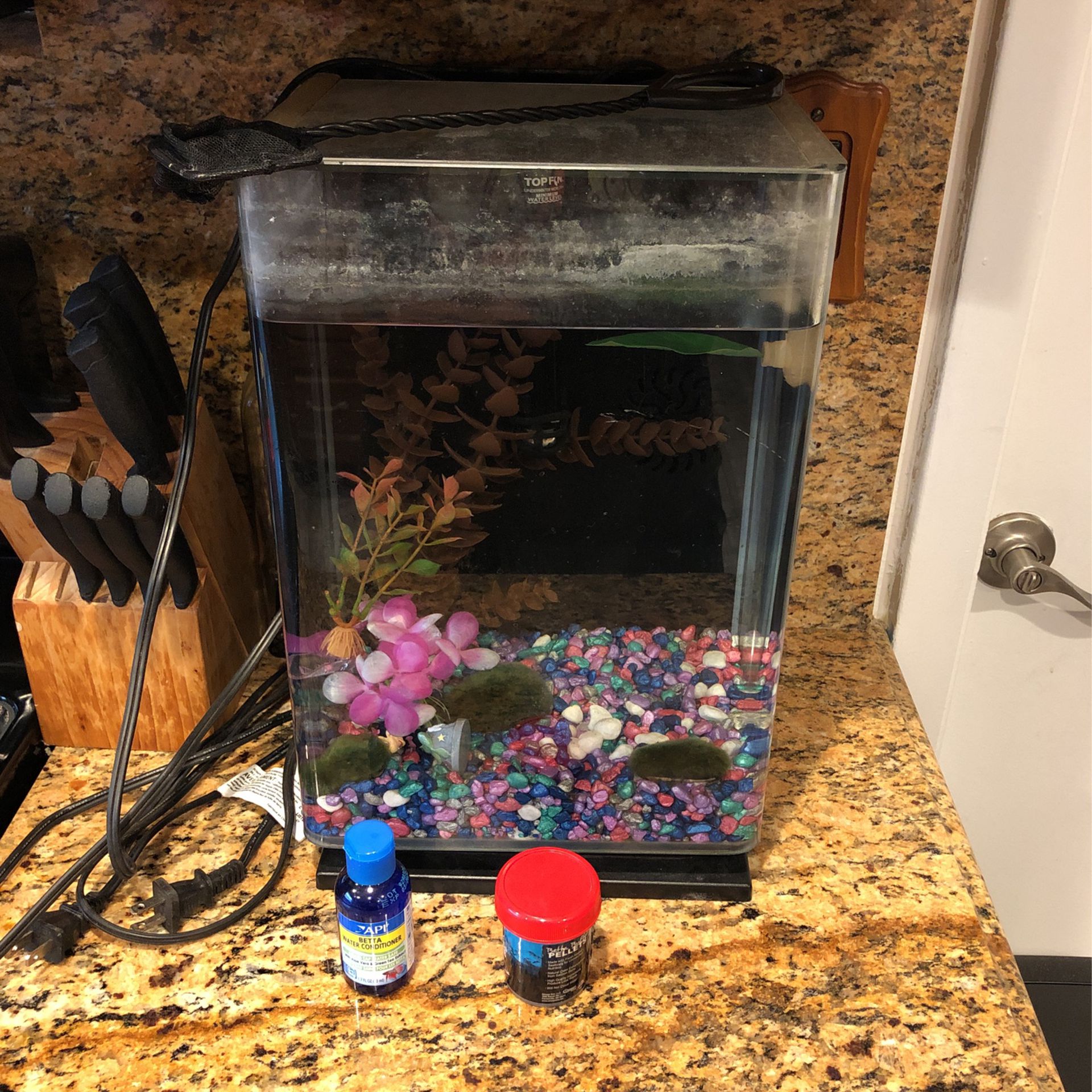 5+ Gallon Self Cleaning, Filtered Fish Tank. Comes With Accessories, Must Go
