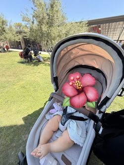 Maxi cosi basinet and car seat stroller