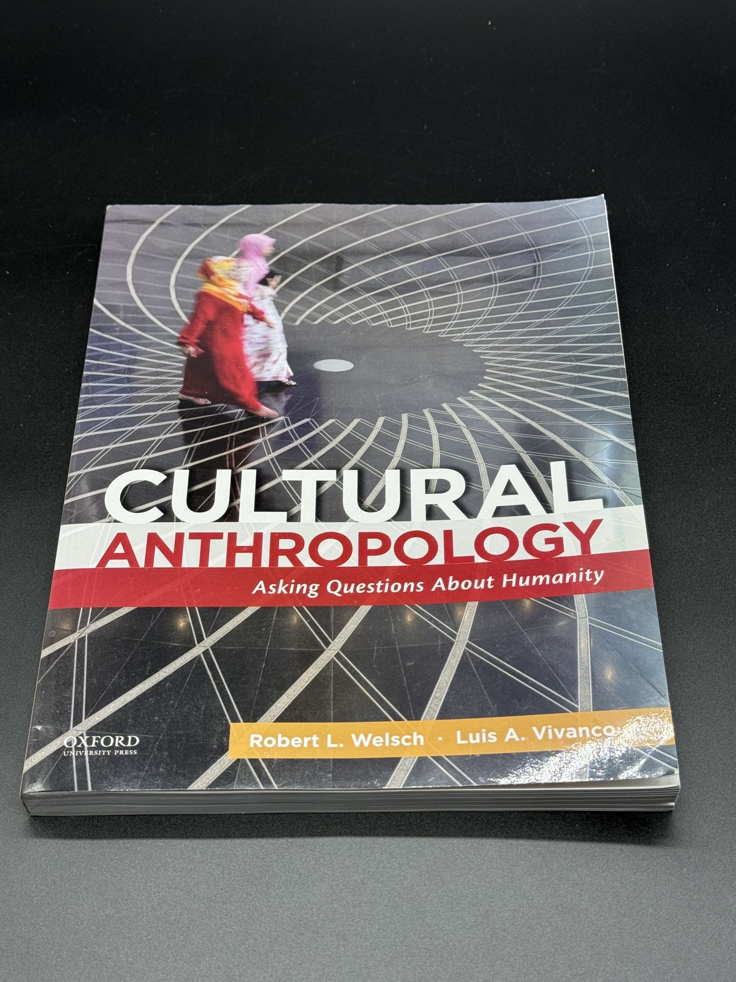 Cultural Anthropology asking The Questions About Humanity Book 