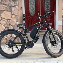 Electric Bike 