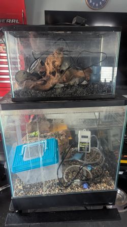 Peceras