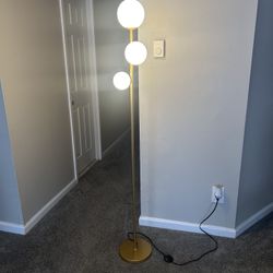 Tall Floor Lamp