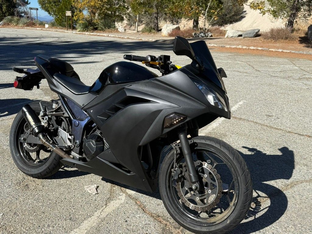 2017 Kawasaki Ninja 300