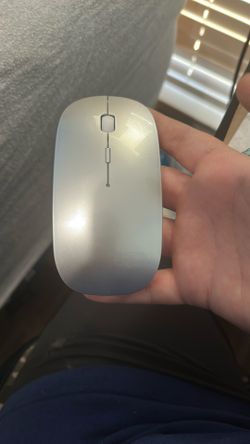 Computer Mouse