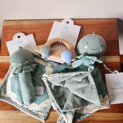 Turtle Baby Bundle 
