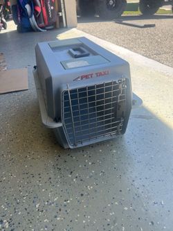 Small pet taxi