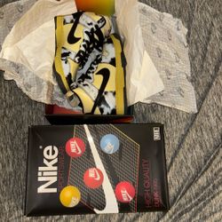 Nike Dunk High 1985 SIZE 10.5