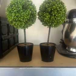 Topiary Tree For Decorating 
