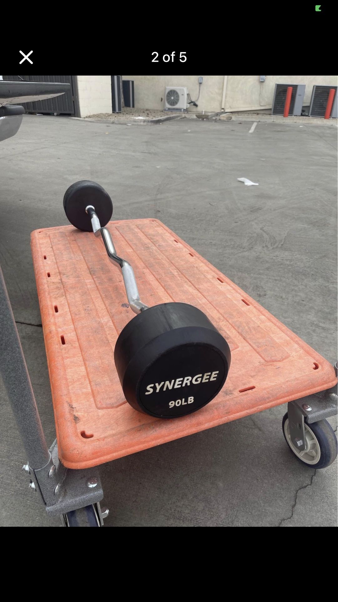 90lb Curl Bar Fixed Barbell Weight