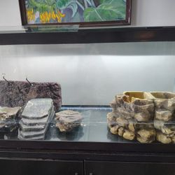 Turtle Terrarium Or Aquarium! Cheap!