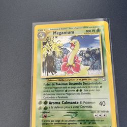 Vintage Pokémon Cards