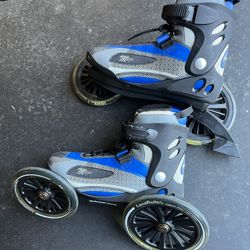 LandRoller Skates