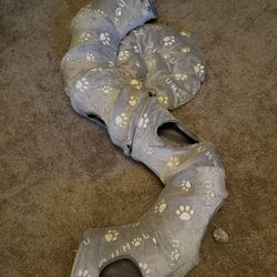 Cat Tunnel 
