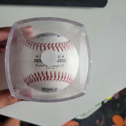 2020 world series baseball
