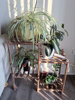 Wood Plant Stand Multi-Tier Display Shelf