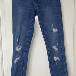 Pacsun (size 22)distressed stretch highrise skinny