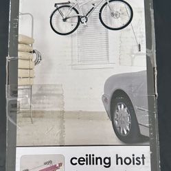 Ceiling hoist 