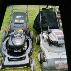 Leaf Vac. Reduced 190$