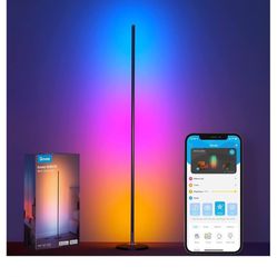 Govee RGBIC lámpara de pie, lámpara de esquina LED funciona con Alexa, lámpara de pie moderna inteligente con sincronización de música y 16 millones d