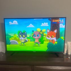 43 Inch Tv 