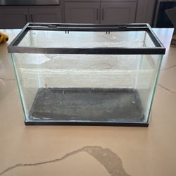 2 Gallon fish Tank 