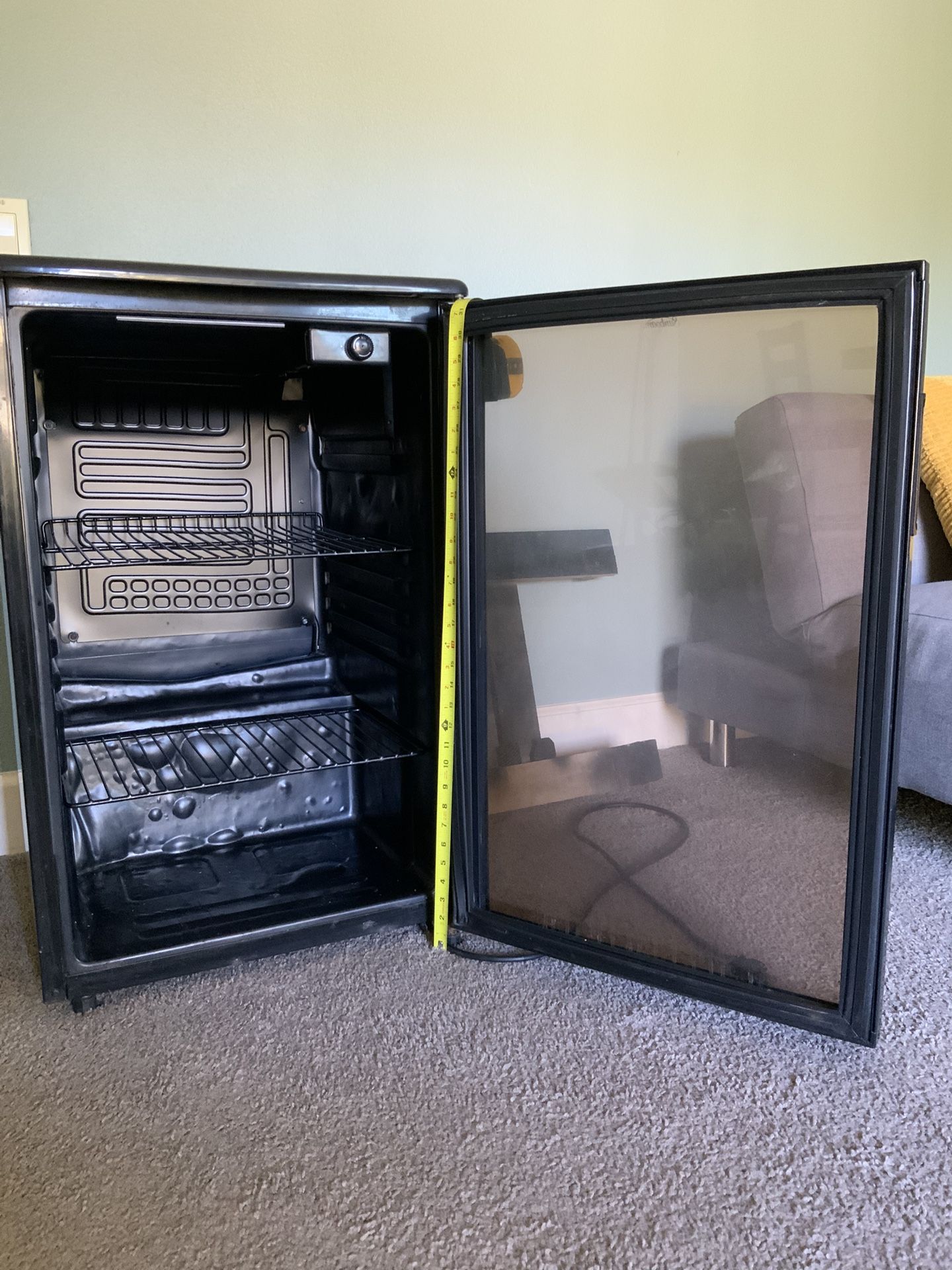 Mini Fridge with Glass Door