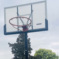 Pexmor 10’ Adjustable Basketball Hoop 🏀