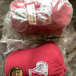 Desert cactus fordman university baseball cap