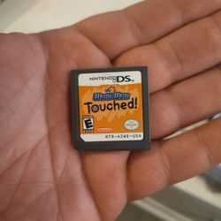 Nintendo DS 