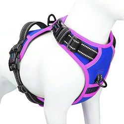 PHOEPET 2019 Non-Pull Dog Harness Adjustable Reflective Design One Training Handle + 2 Metal Hooks on Leash + 3 Snap Buckles + 4 Slider Buckles (L, Ro