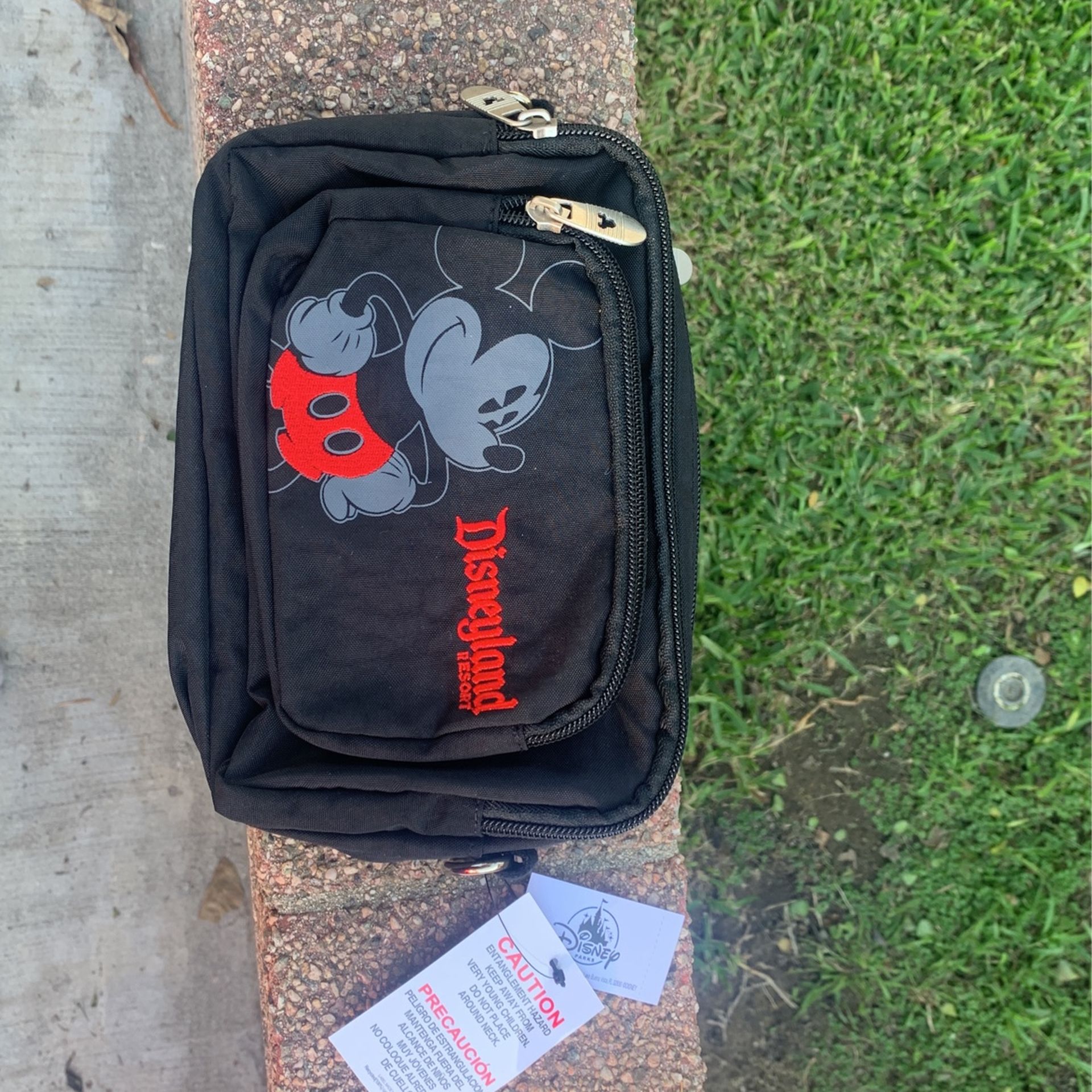 Disney Fanny Pack