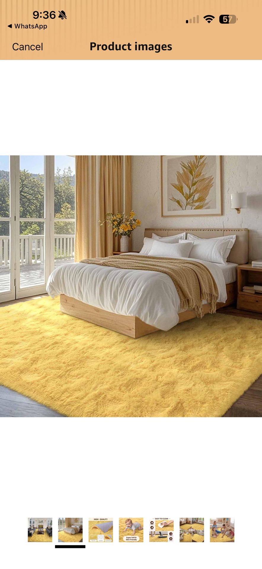 8x10 Soft Fluffy Shaggy Area Rug.