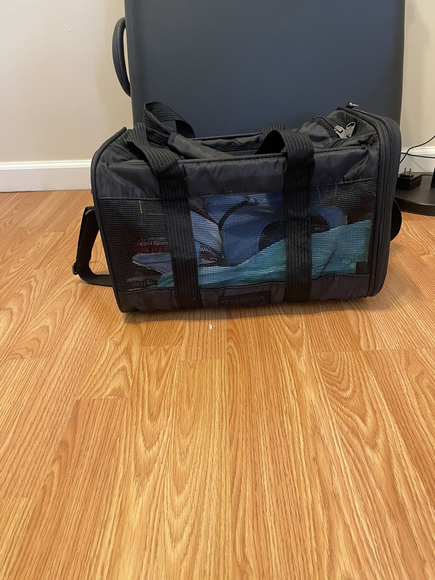 Dog Carrier