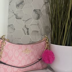 Inspired Coach Bag 