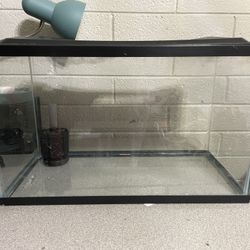 10 gallon fish tank 