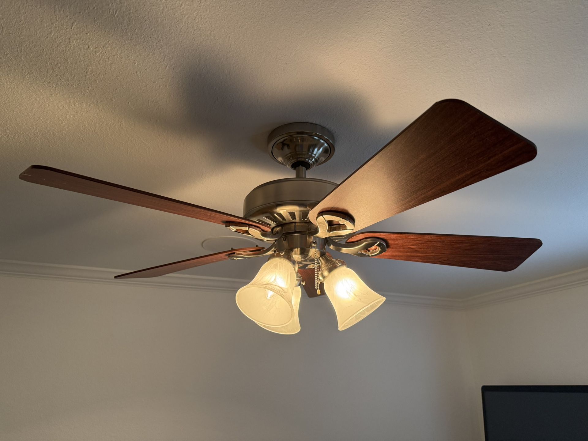 Hunter Ceiling fan