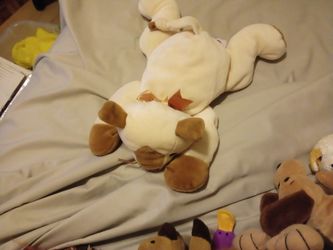 Plush Toys