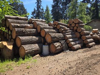 Fence board logs