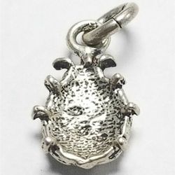 Women's Sterling Silver 925 Ladybird Charm  #81862