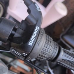 Brand New Bike 100 Paid 189 New