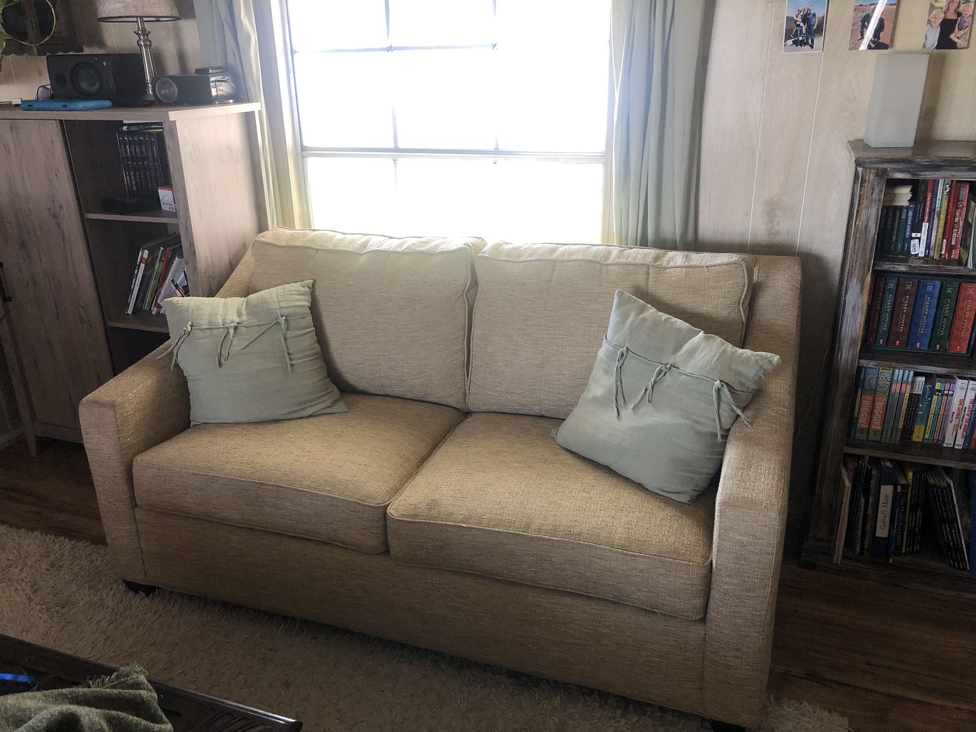 Full size fold out couch