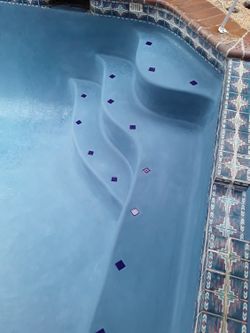 Pool! Plaster & Tiles! Everything