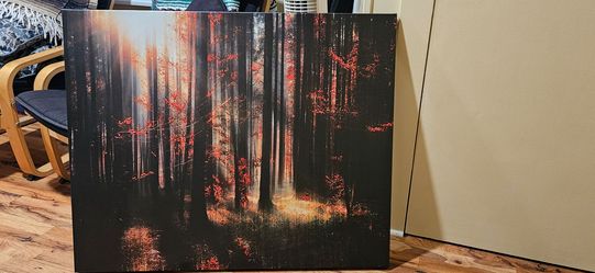 Printed canvas framless picture.