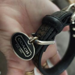 Coach Dog Collar