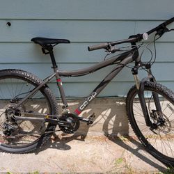 Two REI Dirt 1.1 Bikes For Sale + Free Bike Rack